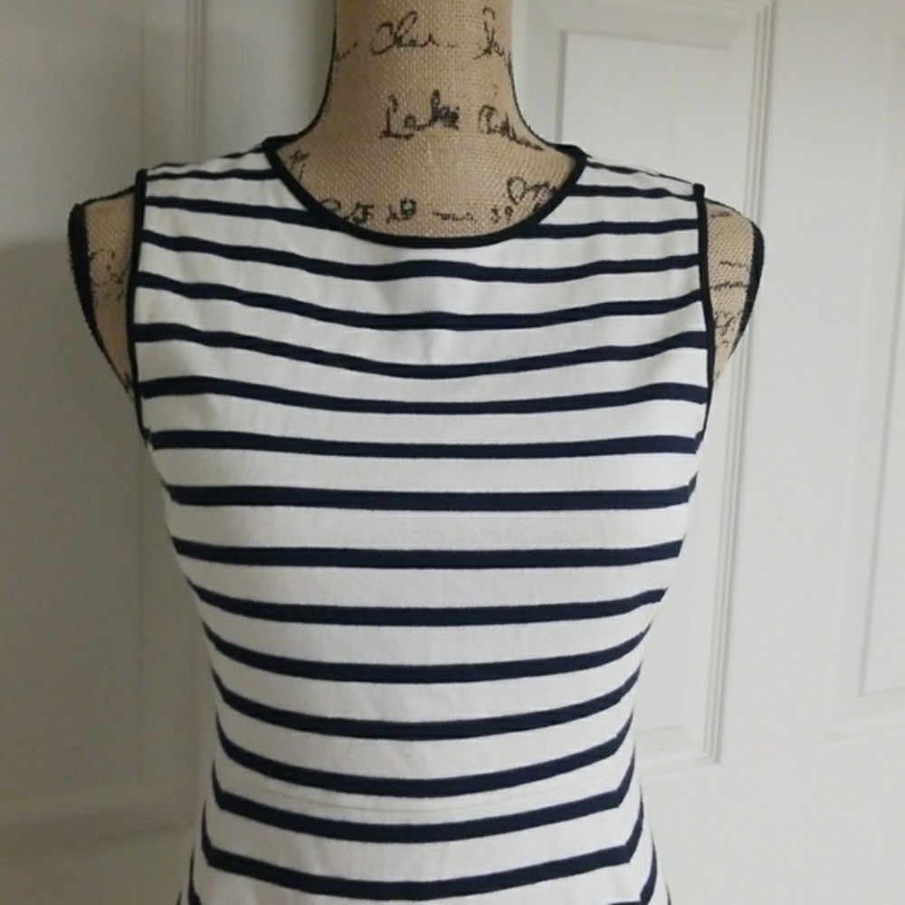 Theory Nautical Dress